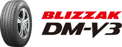 BLIZZAK DMV3